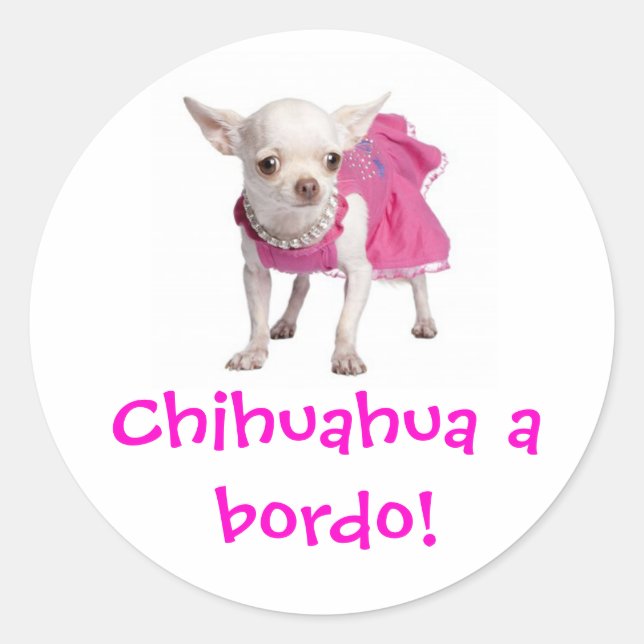Adesivo - Chihuahua a bordo! Classic Round Sticker (Front)