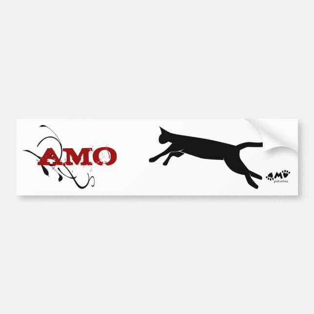 Adhesive for Car Bumper Sticker (Front)