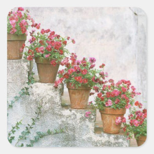 Adhesives flowers on the staircase. square sticker