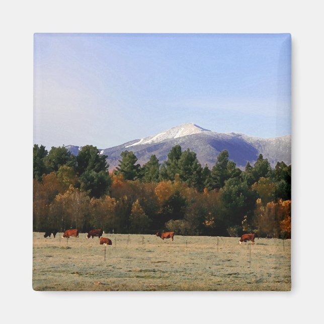 Adirondack farm magnet (Front)