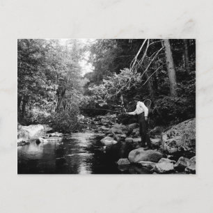 Adirondack Fly Fishing Postcard