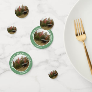 Adirondack Lean-to in Autumn Birthday Party Items Confetti