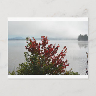 Adirondack Morning Mist Postcard