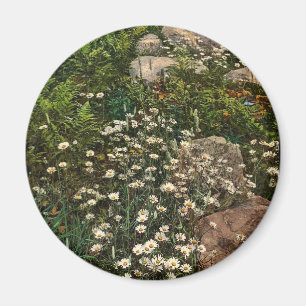 Adirondack mountain wild flowers rare Photochrom Magnet