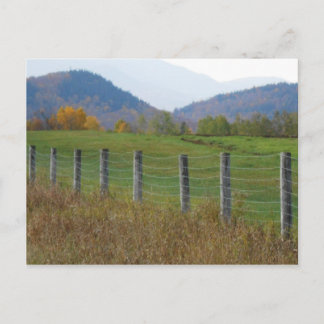 Adirondacks Fire Road North Elba New York Postcard