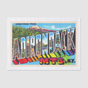 Adirondacks New York Vintage Large Letter Postcard Tissue Paper
