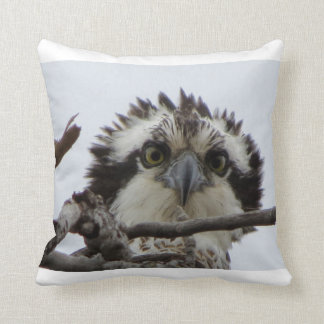 Adirondacks (NY) Osprey Photo Throw Pillow