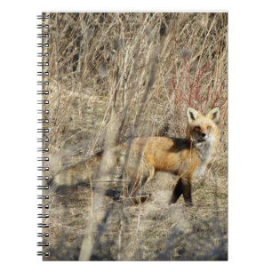 Adirondacks (NY) Red Fox Spiral Notebook
