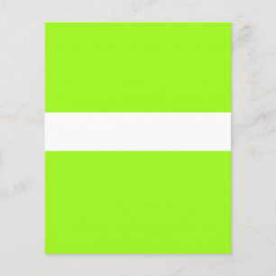 ADJUSTABLE chartreuse Neon & White Flyer