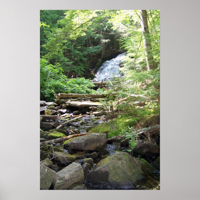 Adler Falls Poster (Front)