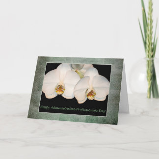 Administrative Professionals Day White Orchid Card