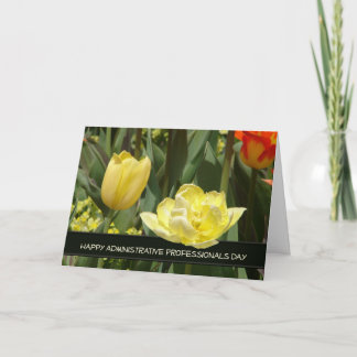 Administrative Professionals Day-Yellow Tulips Thank You Card