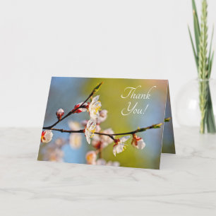 Admirable Japanese Apricot Flower Thank You Card