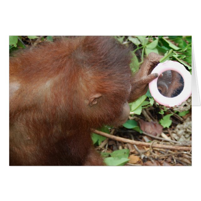 Admiration Hello Gorgeous Self (Front Horizontal)