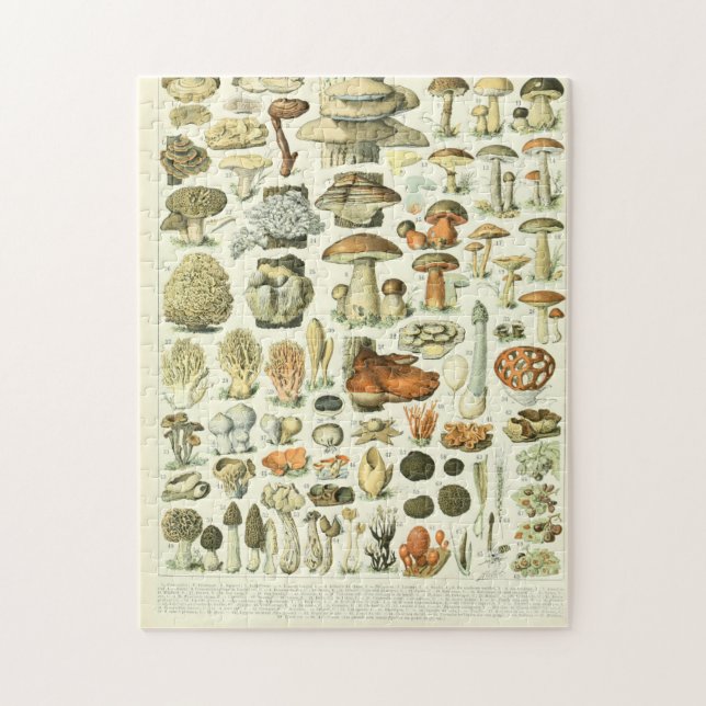 Adolphe Millot Champignon Jigsaw Puzzle (Vertical)