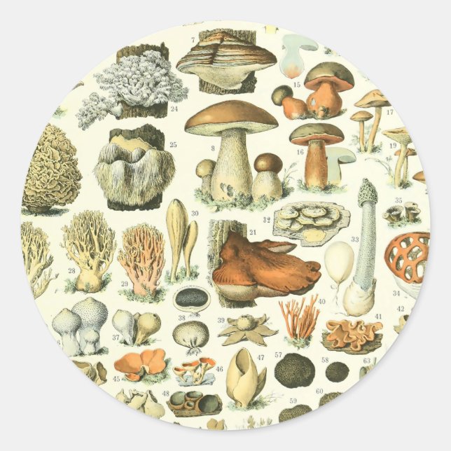 Adolphe Millot Champignon Mushroom Print Classic Round Sticker (Front)