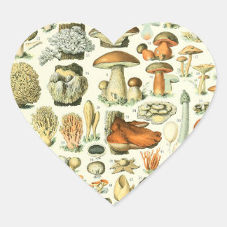 Adolphe Millot Champignon Mushroom Print Heart Sticker