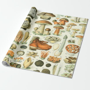 Adolphe Millot Champignon Mushroom Print Wrapping Paper