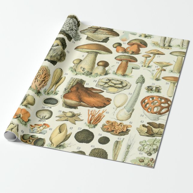Adolphe Millot Champignon Mushroom Print Wrapping Paper (Unrolled)