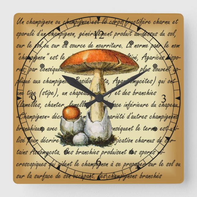 Adolphe Millot ~ Champignons-pour tous-fixed ~  Square Wall Clock (Front)
