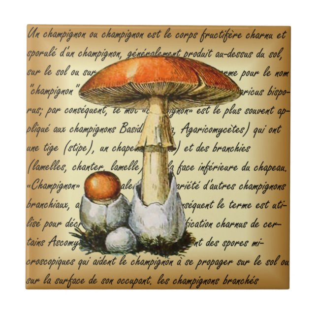 Adolphe Millot ~ Champignons-pour tous-fixed ~  Tile (Front)