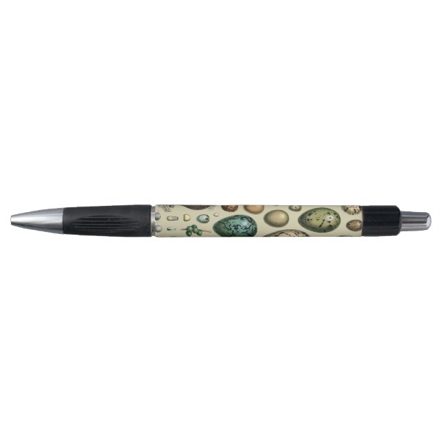 Adolphe Millot Dark Academia Vintage Bird Egg Art (Front)