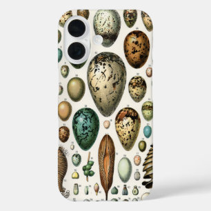 Adolphe Millot Dark Academia Vintage Bird Egg Art iPhone 16 Case