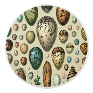 Adolphe Millot Dark Academia Vintage Bird Egg Art Ceramic Knob