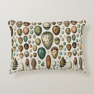 Adolphe Millot Dark Academia Vintage Bird Egg Art Decorative Cushion