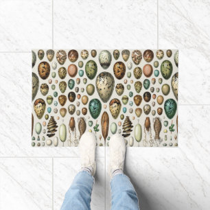 Adolphe Millot Dark Academia Vintage Bird Egg Art Doormat