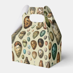 Adolphe Millot Dark Academia Vintage Bird Egg Art Favour Box