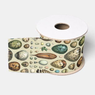Adolphe Millot Dark Academia Vintage Bird Egg Art Grosgrain Ribbon