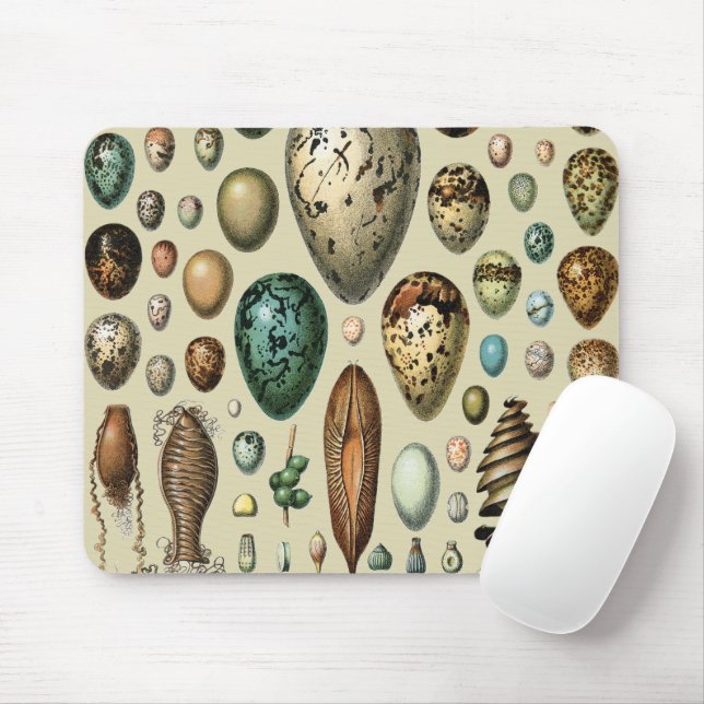 Adolphe Millot Dark Academia Vintage Bird Egg Art Mouse Mat (With Mouse)