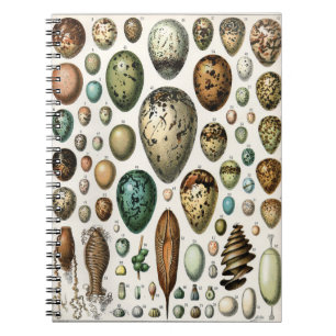 Adolphe Millot Dark Academia Vintage Bird Egg Art Notebook