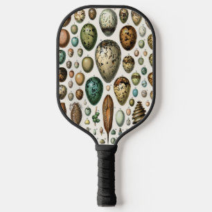 Adolphe Millot Dark Academia Vintage Bird Egg Art Pickleball Paddle