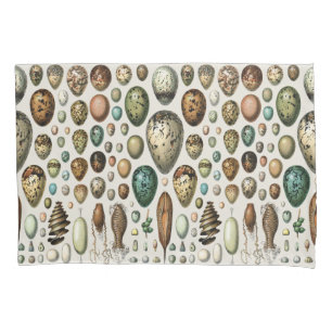 Adolphe Millot Dark Academia Vintage Bird Egg Art Pillowcase