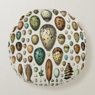 Adolphe Millot Dark Academia Vintage Bird Egg Art Round Cushion