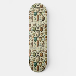 Adolphe Millot Dark Academia Vintage Bird Egg Art Skateboard