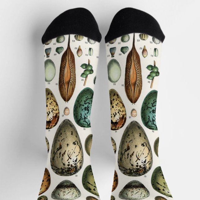 Adolphe Millot Dark Academia Vintage Bird Egg Art Socks (Top)