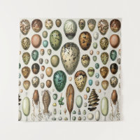 Adolphe Millot Dark Academia Vintage Bird Egg Art