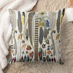 Adolphe Millot Dark Academia Vintage Bird Feather Cushion