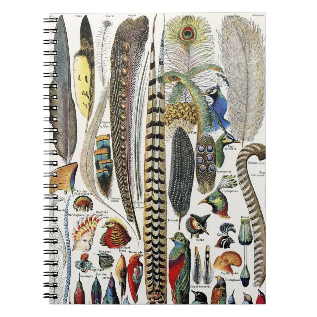 Adolphe Millot Dark Academia Vintage Bird Feather Notebook (Front)