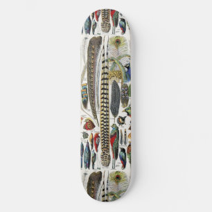 Adolphe Millot Dark Academia Vintage Bird Feather Skateboard