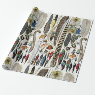Adolphe Millot Dark Academia Vintage Bird Feather Wrapping Paper