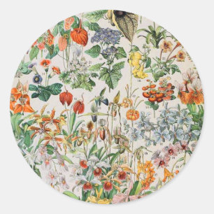 Adolphe Millot flowers D Classic Round Sticker