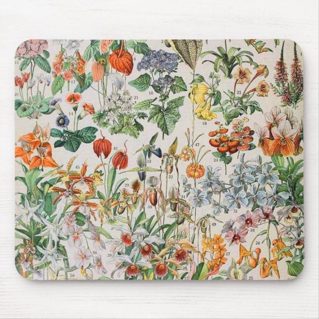 Adolphe Millot flowers D Mouse Mat (Front)