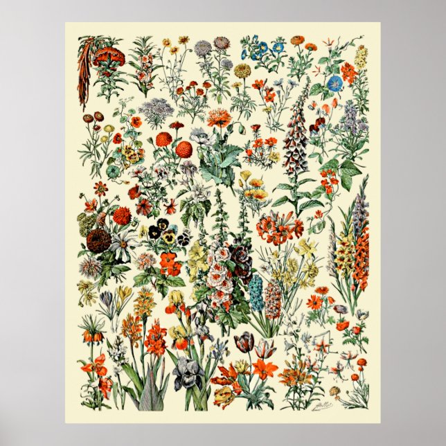 Adolphe Millot Flowers Poster (Front)