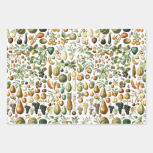 Adolphe Millot Fruit Pattern Wrapping Paper Sheet
