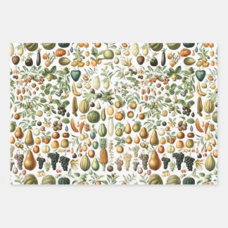 Adolphe Millot Fruit Pattern Wrapping Paper Sheet
