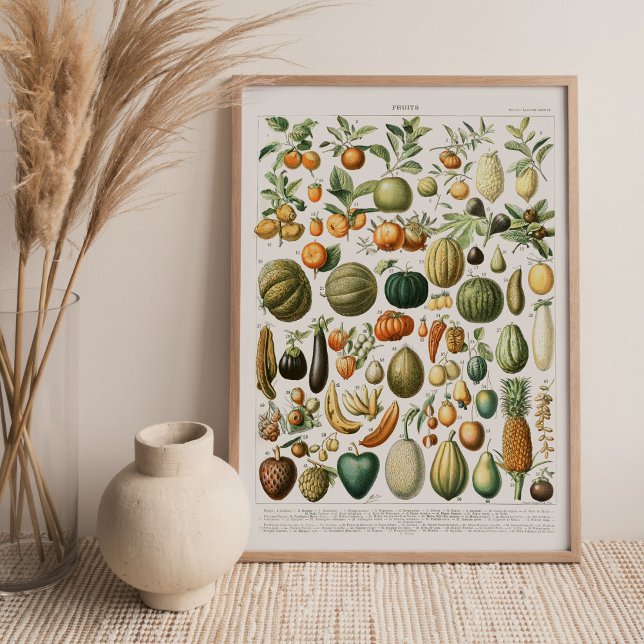 Adolphe Millot Fruits Canvas Print (Creator Uploaded)
